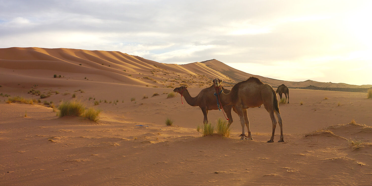 morocco-travel_rundreise-sahara
