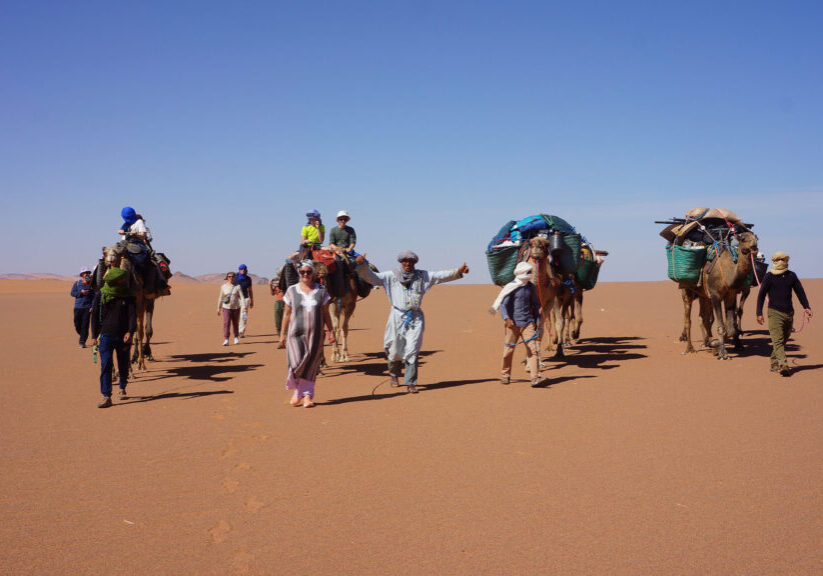 moroccotravelbe_marokko_kamel-trekking-wueste-sahara_berber