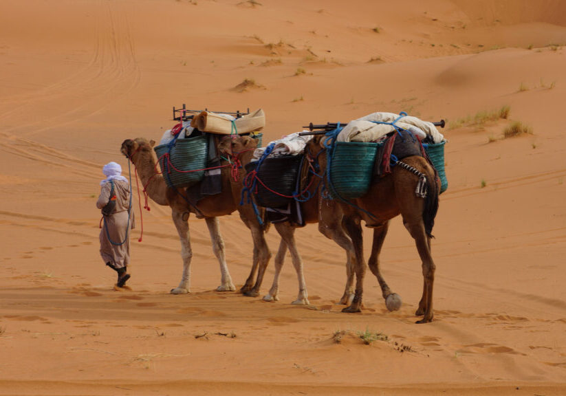 moroccotravelbe_marokko_wueste-sahara_kamel-trekking