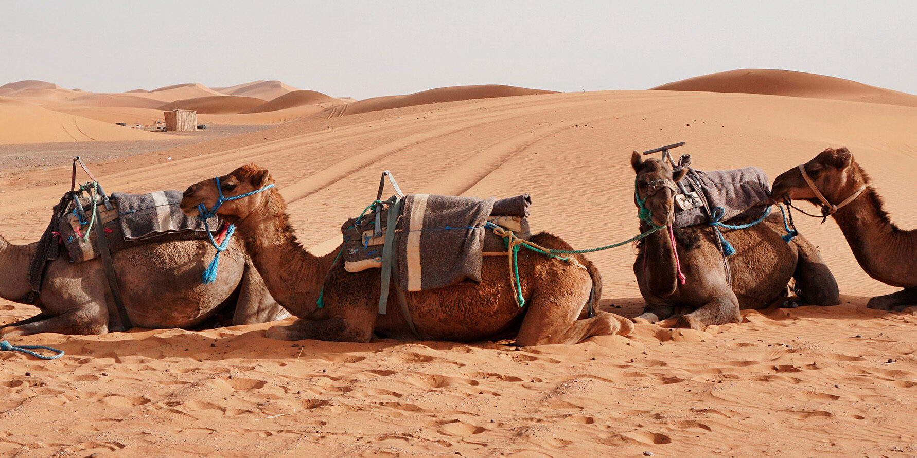 moroccotravelbe_wuestenerlebnisse.2jpg